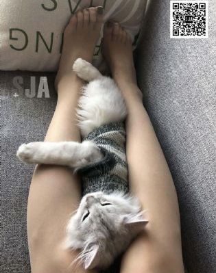 善良的公公
