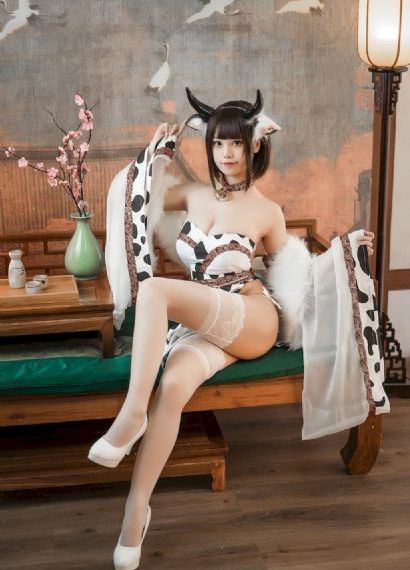 樱花网