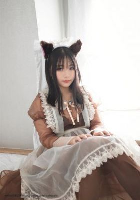 完美伴侣