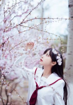 星辰动漫